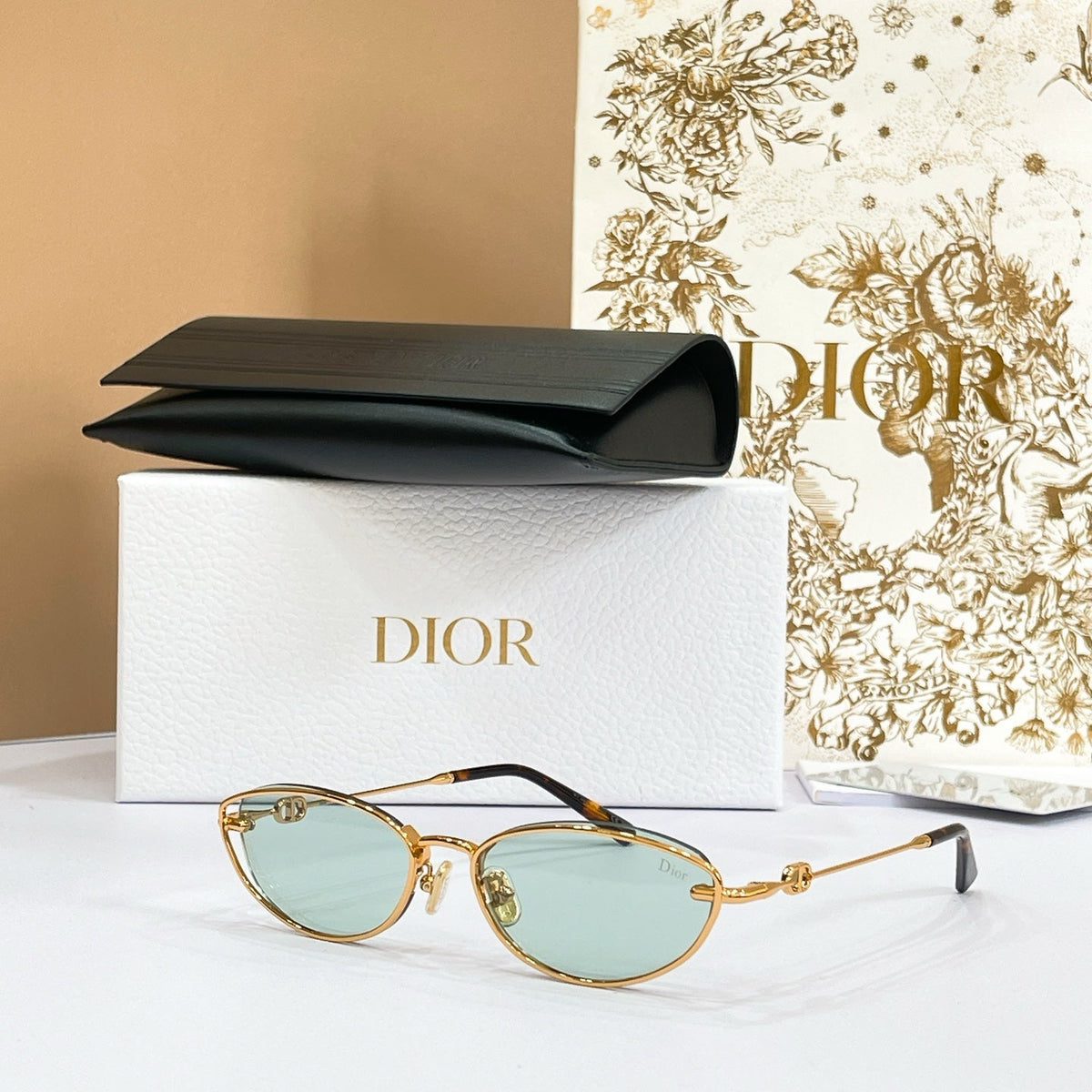 Dior Petit CD B1U Sunglasses